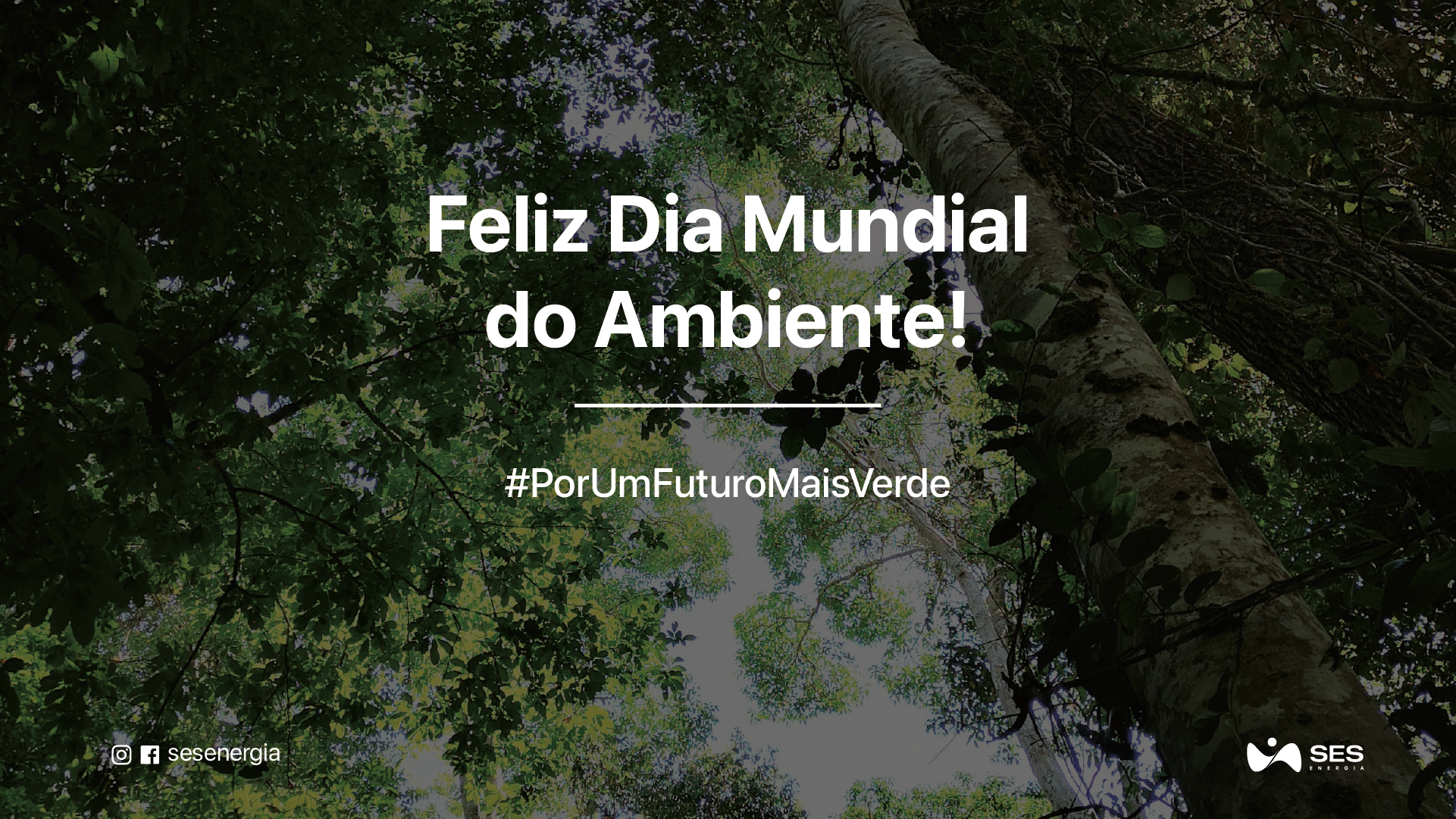 Feliz Dia Mundial do Ambiente 0